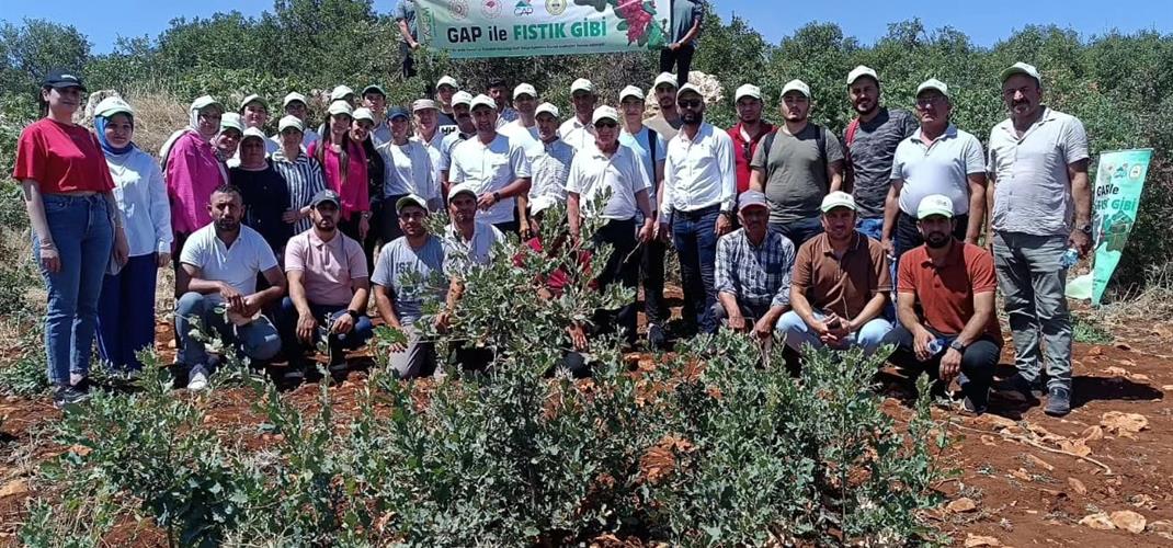 A TRAINING ON “PISTACHIO GRAFTING”