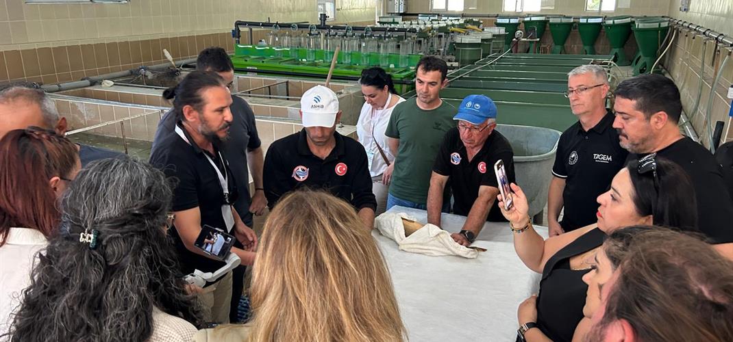 Balık Üretiminde Yenilikçi Yöntemler Eğitimi (Uygulamalı) Başarıyla Tamamlandı