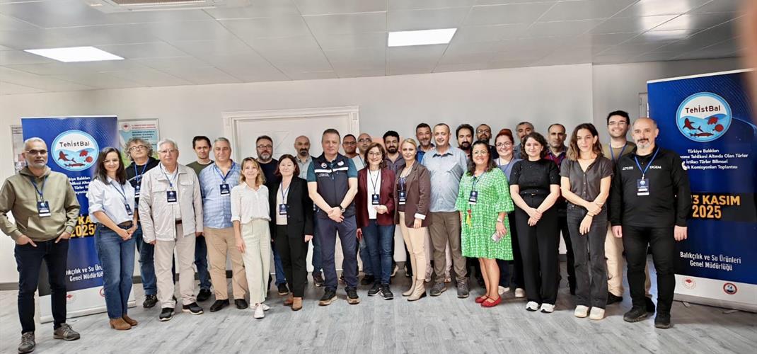 Türkiye’nin Nesli Tehlike Altındaki Balık Türleri Çalışmaları