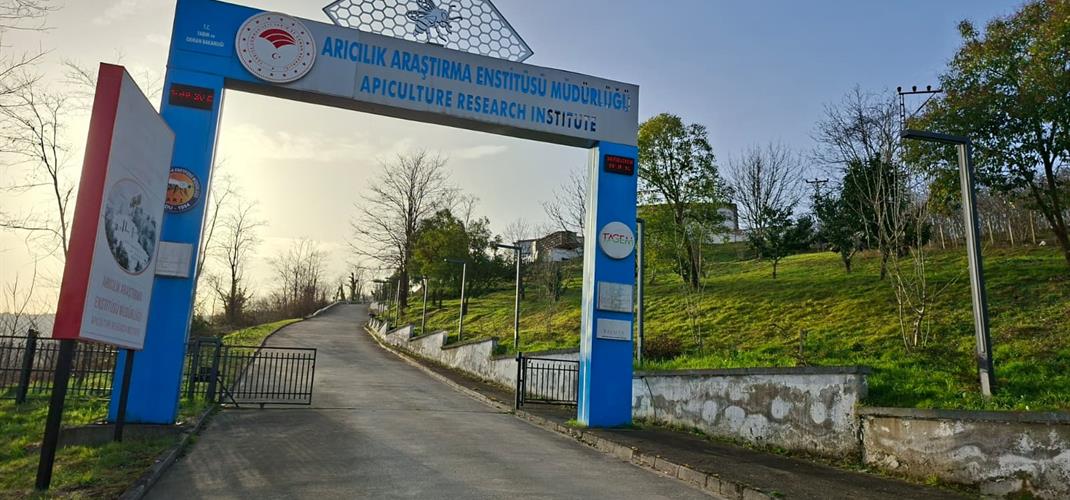 Ordu Arıcılık Araştırma Enstitüsü Müdürlüğü