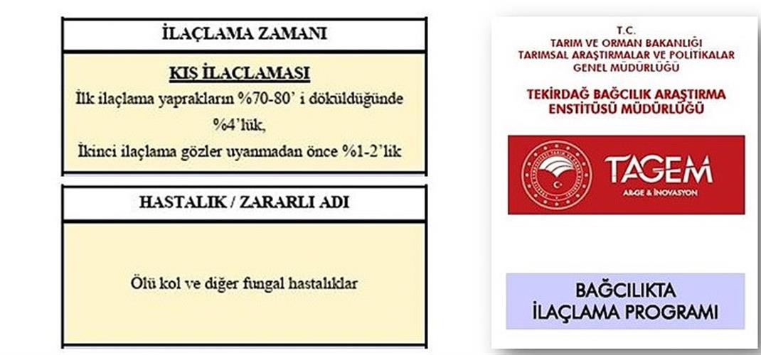 Bağlarda Kış İlaçlaması