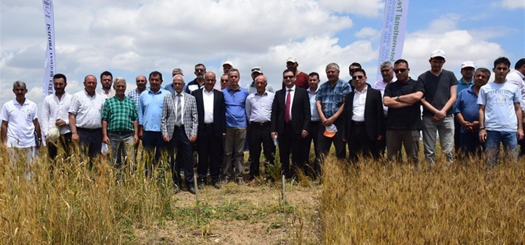 LOCAL WHEAT FIELD DAY WAS PERFORMED IN YOZGAT PROVINCE.