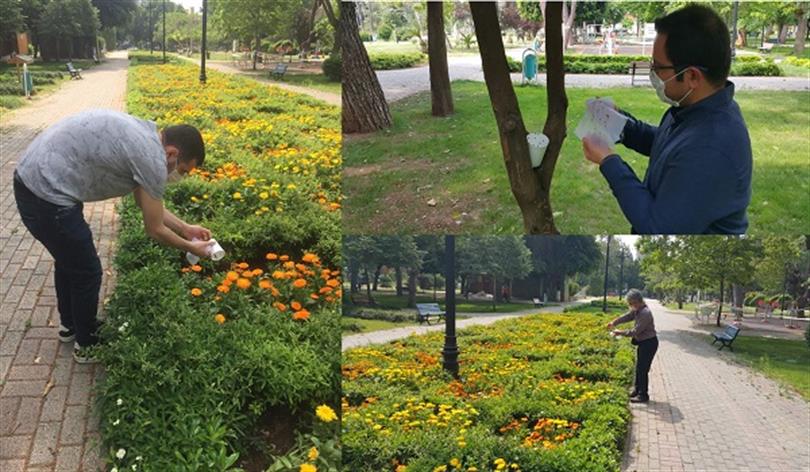 Beneficial Insect Release to Adana Parks, May 2020