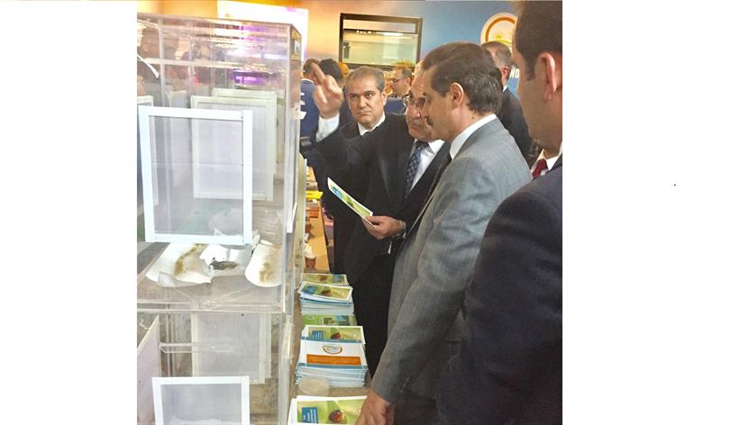 Public-Private Sector Meeting in Food and Agricultural Research-Development & Innovation  