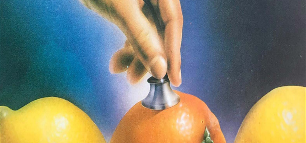 Nisan Ayı Turunçgil Tarım Takvimi