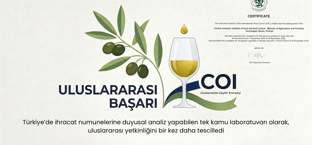 Zeytinyağı Duyusal Analizinde Uluslararası Başarı: Enstitümüz Yetkinliğini Bir Kez Daha Kanıtladı