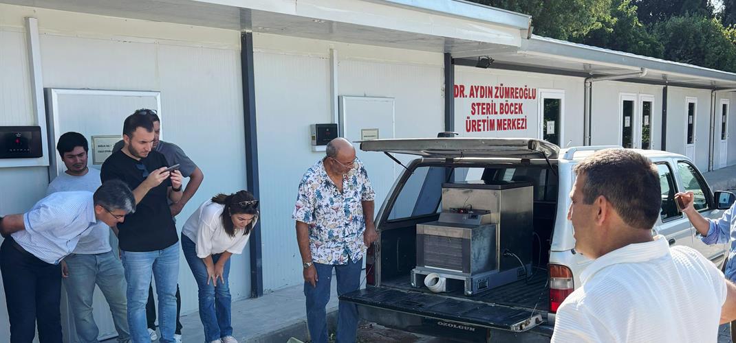 "Türkiye’de Akdeniz Meyvesineği’nin Eradikasyonu ve Baskılanmasında Steril Böcek Salım Tekniğinin Uygulanması" projesi kapsamında çalışmalara devam ediliyor.