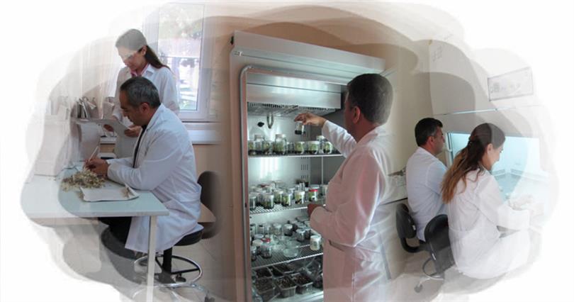 East Mediterranean Transitional Zone Agricultural Research of Institute