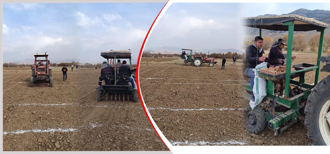 Ekmeklik Buğday Islah Araştırmaları kapsamında tohum ekimleri gerçekleştirildi…