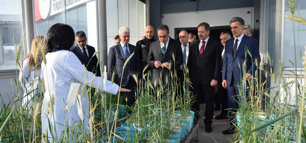 ENSTİTÜ MÜDÜRLÜĞÜMÜZDE AR-GE VE İNOVASYON ÇALIŞMALARI YERİNDE İNCELENDİ