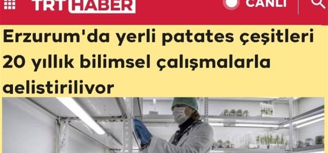 YERLİ VE MİLLİ PATATES ÇEŞİTLERİMİZ ULUSAL BASINDA YER ALDI