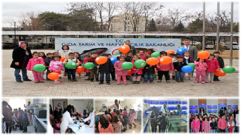 Students Visited Our Directorate