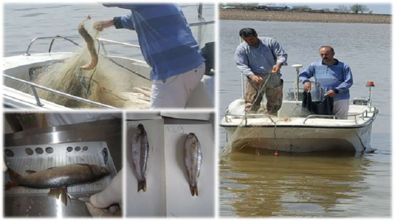 Project work continues in Devegeçidi Dam, Diyarbakır