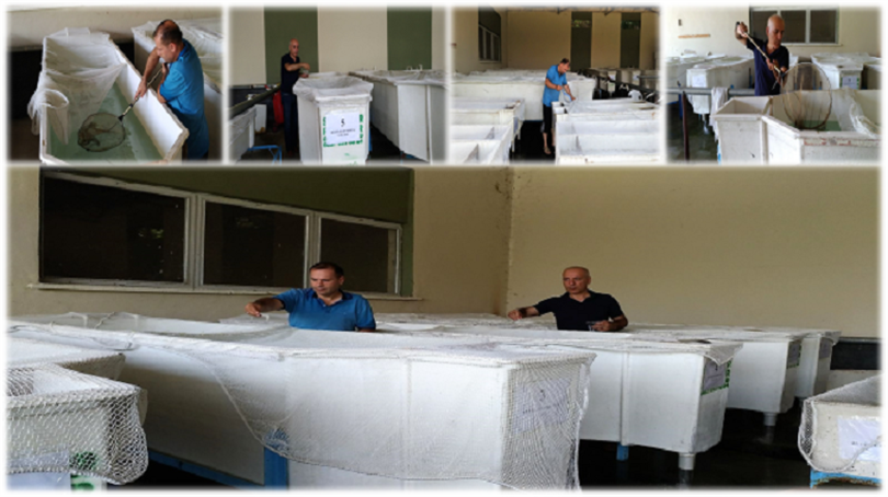 Project work continues