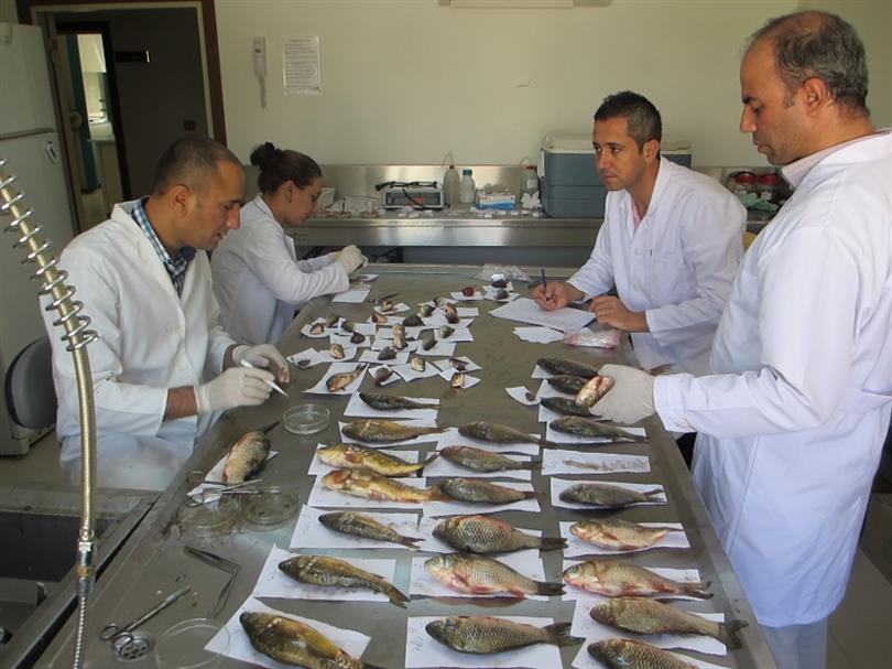 Laboratory works on project continue