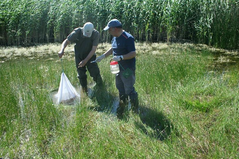 The investigation of leech in Sülüklü Lake (Karagöl)