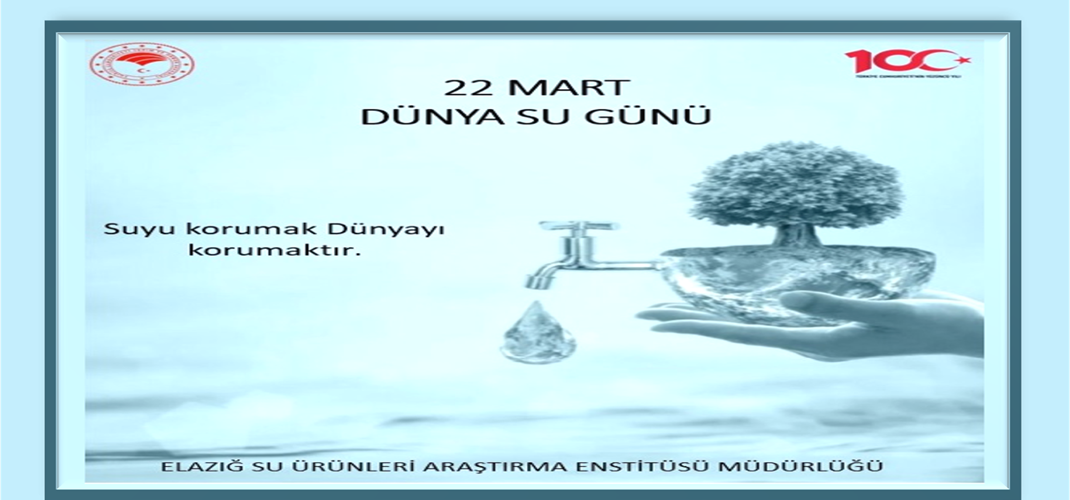 22 Mart dünya su günü