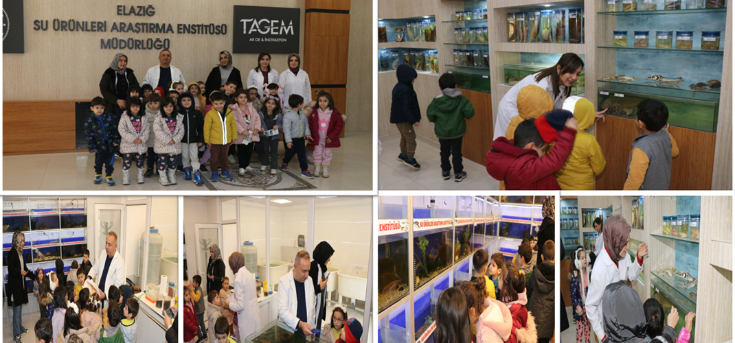 KURUMUMUZDA MİNİK ZİYARETÇİLERİMİZİ AĞIRLADIK