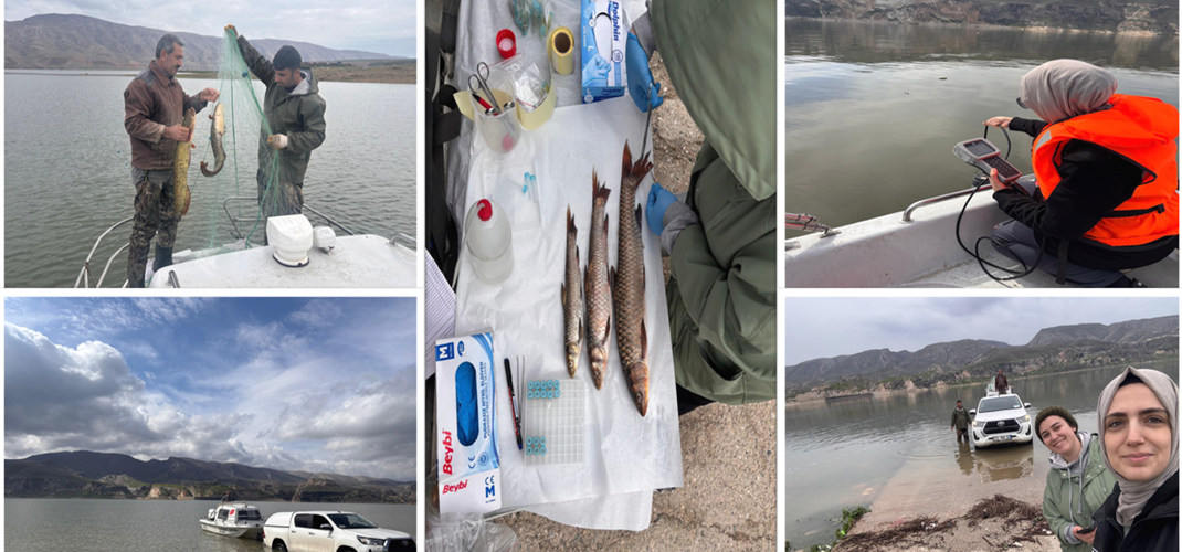 Enstitümüz tarafından yürütülen projeler kapsamında saha çalışmalarımız aralıksız devam ediyor.