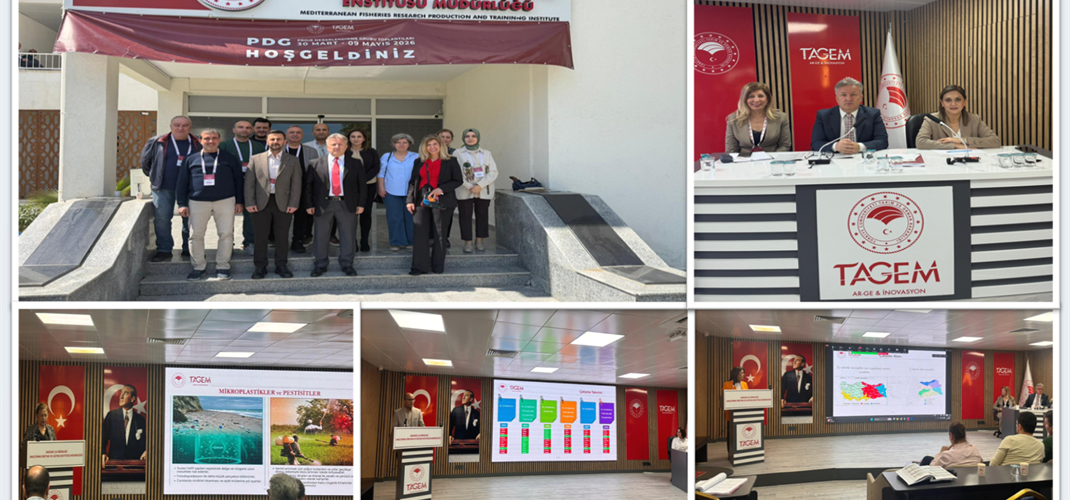​2026 TAGEM Proje Değerlendirme Toplantısı kapsamında, Su Ürünleri Araştırmaları Grubunda 8’i yeni teklif olmak üzere toplam 17 projenin sunumu, Enstitü Müdürlüğümüz araştırmacı personeli tarafından gerçekleştirilmiştir.
