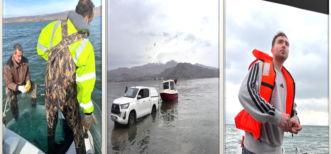 “Keban, Karakaya ve Atatürk Baraj Gölleri’ndeki İstilacı Türlerin Dağılım Alanlarının ve Yoğunluklarının Belirlenmesi” adlı projemizin Keban Baraj Gölü kış mevsimi balık örneklemesi tamamlanmıştır. 