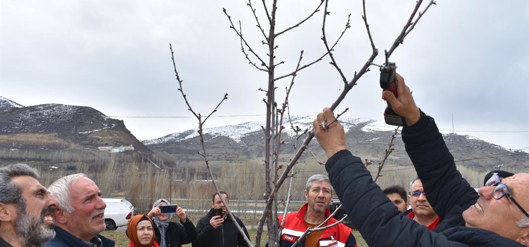 Bayburt'ta İl Müdürlüğü Teknik Personeline ve Çiftçilerimize Yönelik Budama ve Bakım Eğitimi Gerçekleştirildi