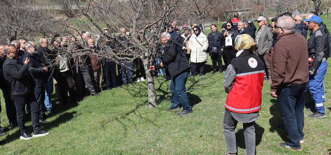 Gümüşhane'de Çiftçilerimize Yönelik Meyve Bahçelerinde Budama ve Bakım  Eğitimi Gerçekleştirildi