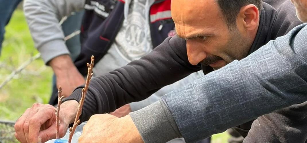 Kars Merkez, Digor ve Kağızman ilçelerinde Meyve Ağaçlarında Aşılama ve Budama Eğitimi Gerçekleştirildi