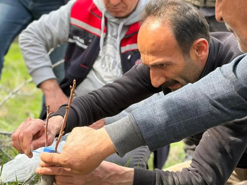 Kars Merkez, Digor ve Kağızman ilçelerinde Meyve Ağaçlarında Aşılama ve Budama Eğitimi Gerçekleştirildi