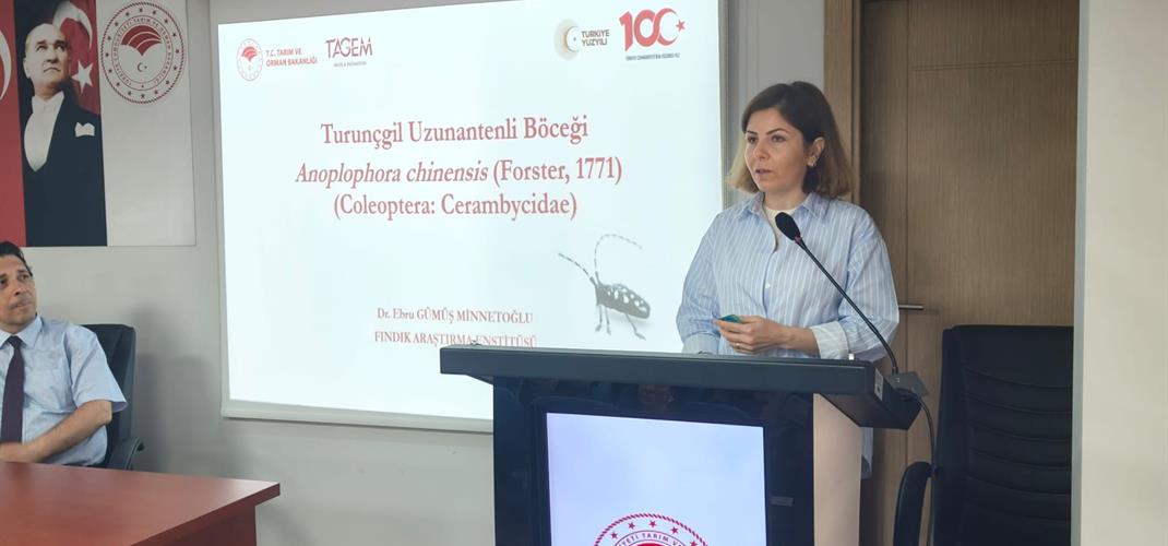 Turunçgil Uzunantenli Böceği ile Mücadelede Eğitim ve Yerinde Değerlendirme Çalışmaları Gerçekleştirildi