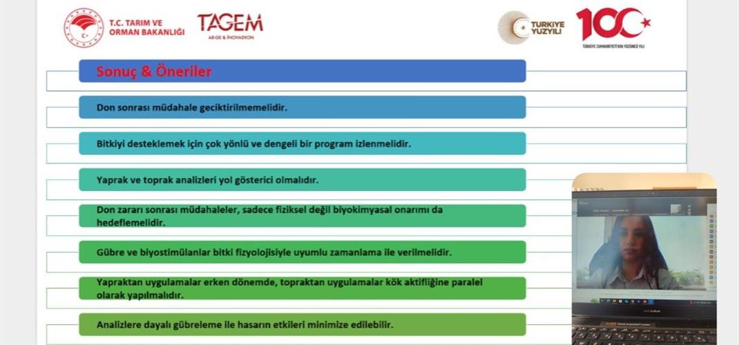 Geç Don Zararı Sonrası Müdahaleler Masaya Yatırıldı...