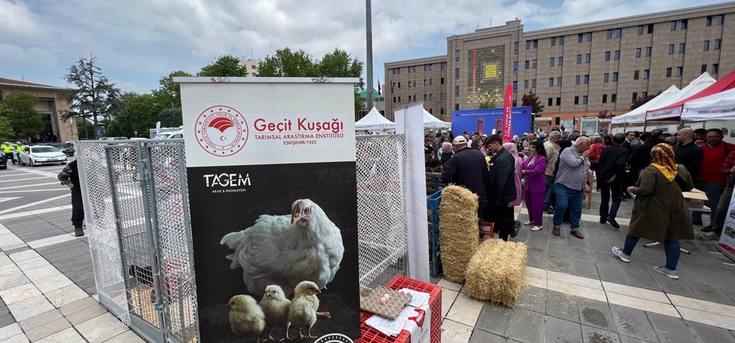 Anadolu-T Türk Mutfağı Etkinliğinde