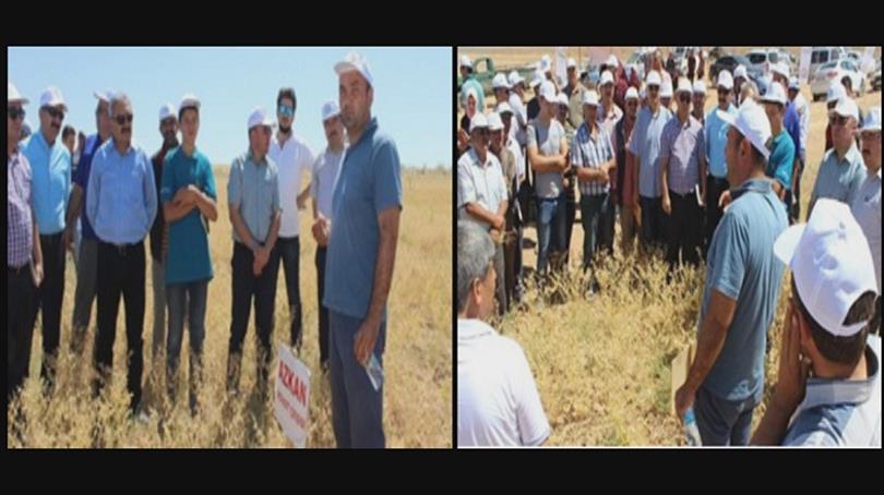 The Field Day in Karaman Province
