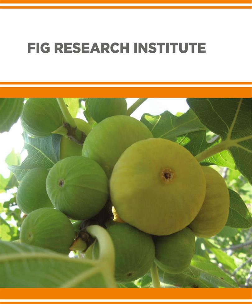 Fig Research Institute