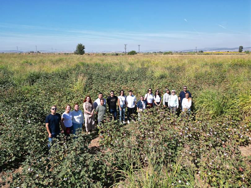 Ege Bölgesi’nde Onarıcı Organik Pamuk Üretimi İçin Tarımsal Ekosistemlerin İyileştirilmesine Yönelik Tarla Günü Düzenlendi