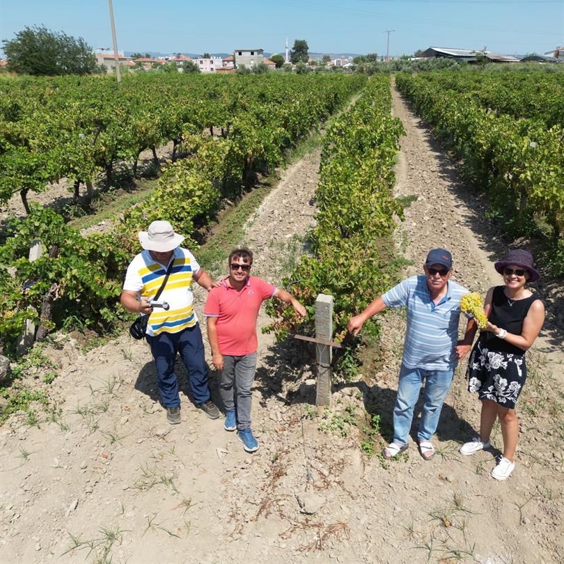 Menemen Ovası’nda Sürdürülebilir Sulama İçin Pilot Alan Kuruldu