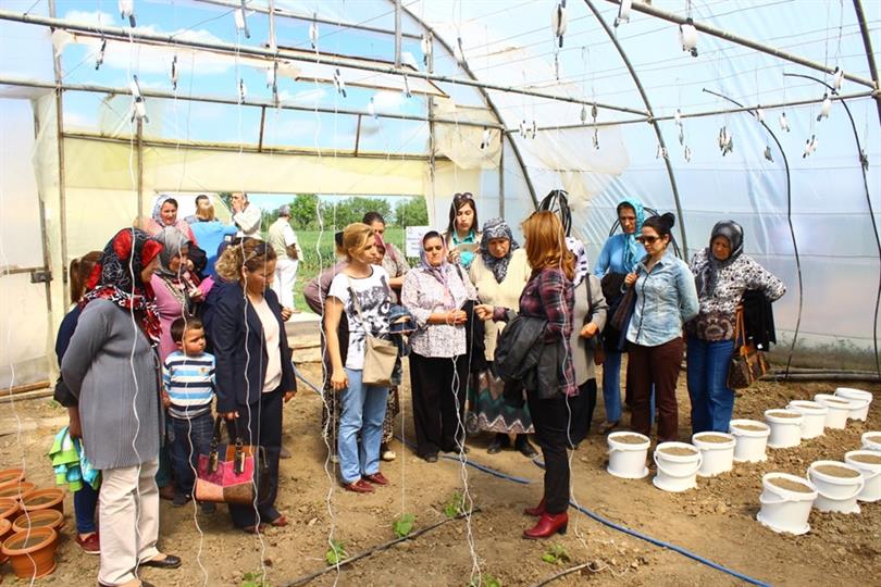 Field Day Was Arranged In Our Institute (April 26, 2016)