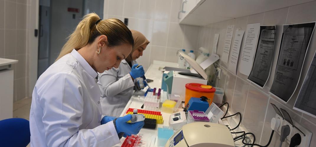 Ülkesel Merinos Geliştirme Projesi çalışmaları devam etmektedir