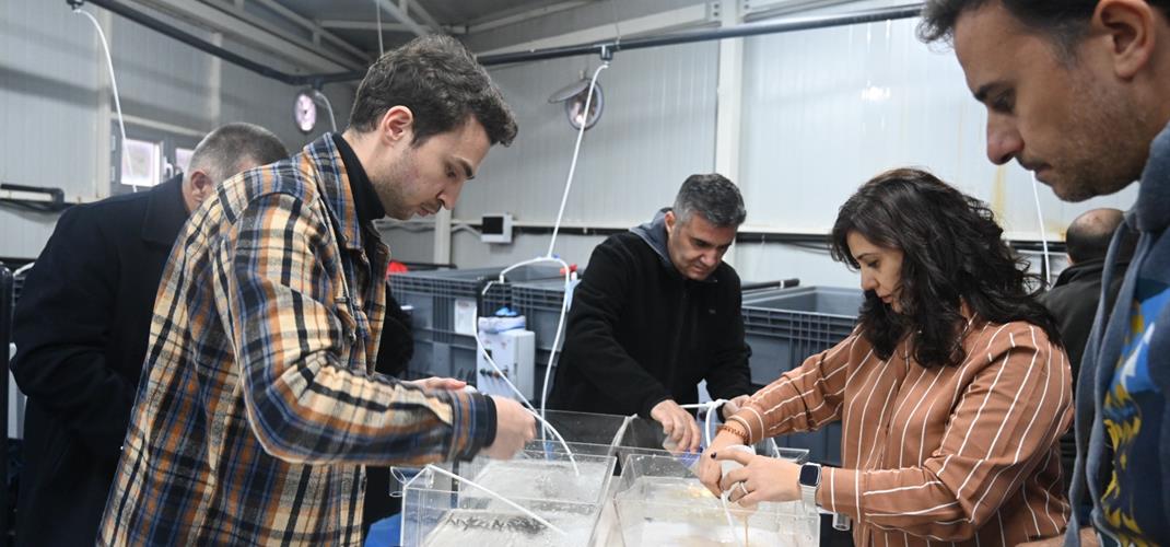 Aşı Geliştirme Çalışmaları Başarıyla Yürütülmektedir