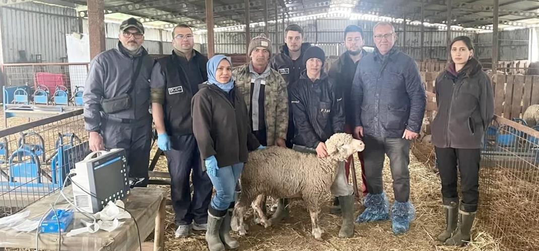 Proje Çalışmalarımız Devam Etmektedir