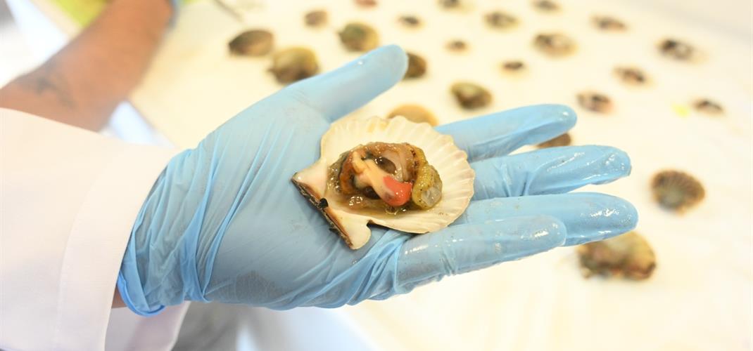 Proje çalışmalarımız devam etmektedir.