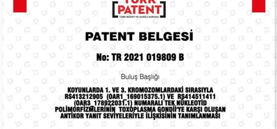 Patent Başvurumuz Kabul Edilmiştir