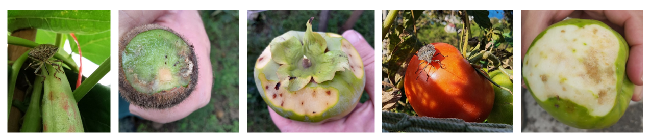 Ekran Alıntısı.PNG