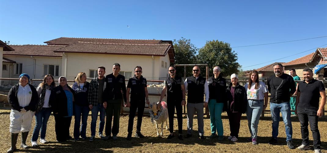 KOÇ KATIMI ŞENLİĞİ