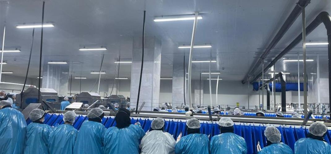 Technical Visit to Polifish, One of Türkiye’s Leading Turkish Salmon Processing Companies