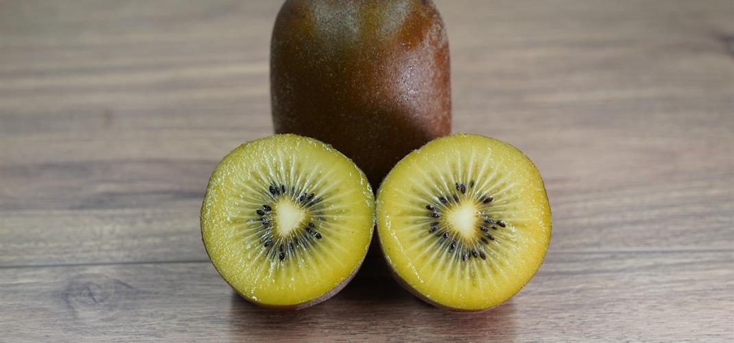 Kahraman 1 Kivi Çeşidi Tescillendi!