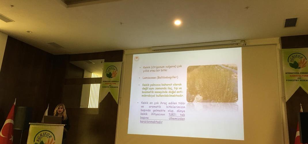 İnternational Congress on Agriculture and Forestry Research