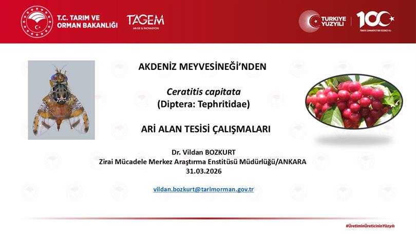 Ari Alan Tesisi ve Sürveyler  konulu eğitim gerçekleştirildi