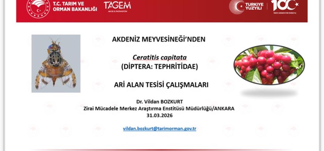 Ari Alan Tesisi ve Sürveyler  konulu eğitim gerçekleştirildi