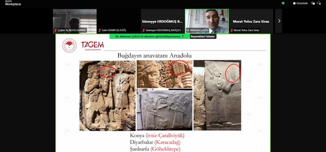  Süne Entegre Mücadele Hizmet İçi Eğitimi